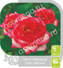 Куин Амазон