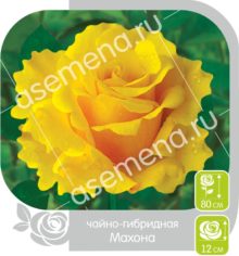 Махона