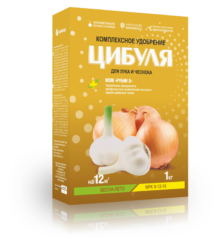 Цыбуля